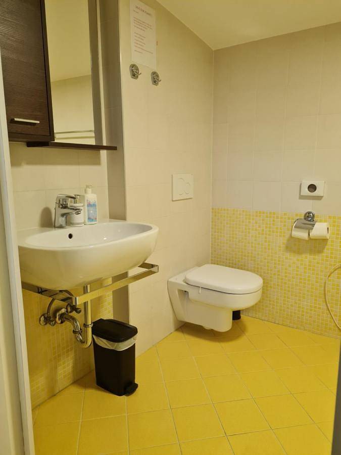 Chambre d’hôte pour 2 personnes, avec terrasse à Ljubljana - 4