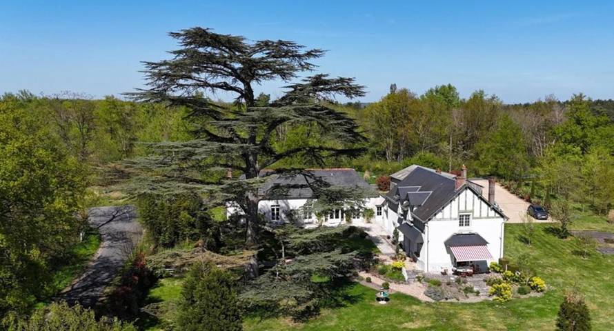 Maison d’hôte pour 2 personnes, avec jardin et terrasse à Cour-Cheverny - 4