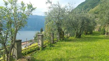 Gîte pour 5 personnes, avec vue ainsi que vue sur le lac et jardin, animaux acceptés dans Nesso