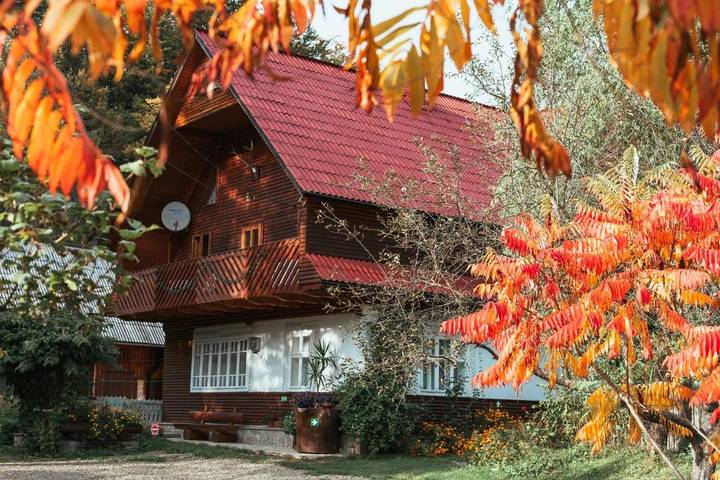 Maison d’hôte pour 3 personnes, avec jardin et vue dans Sucevița - 4