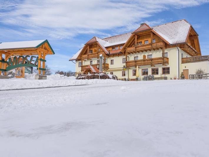 Hotel für 2 Personen, mit Sauna und Garten sowie Terrasse, mit Haustier in St. Lambrecht - 3