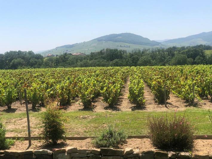 Location de vacances pour 2 personnes, avec vue ainsi que jardin et terrasse à Villié-Morgon - 4