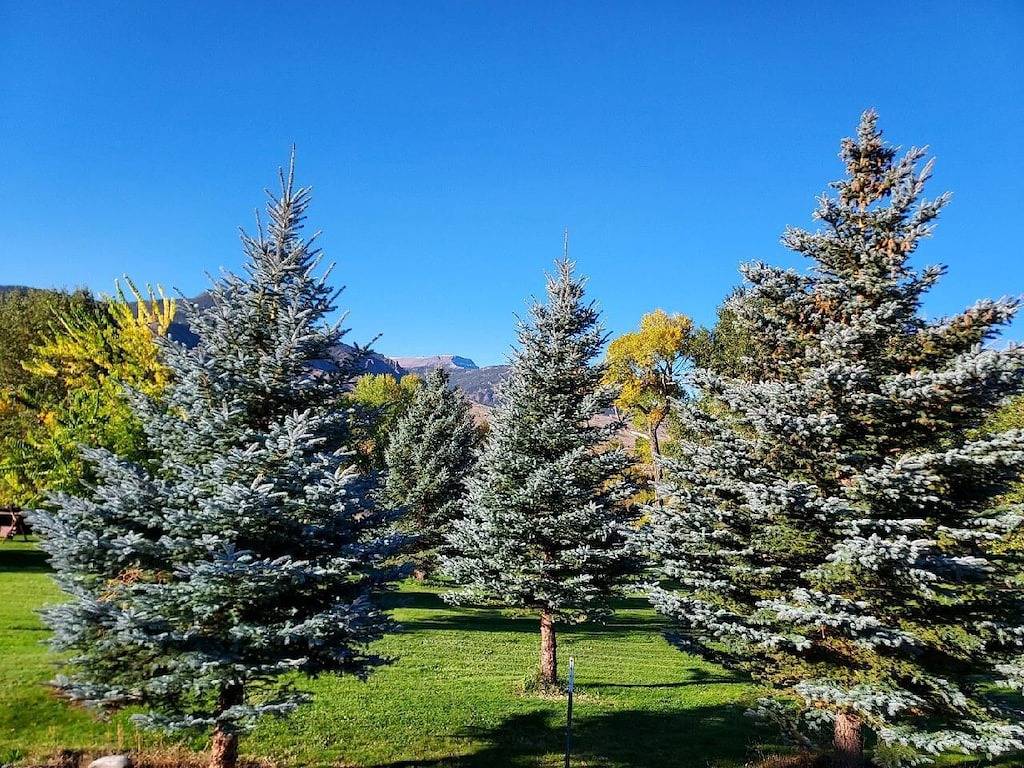 Komplett renoviertes Blockhaus an der Straße nach Yellowstone in Wapiti, Absaroka Range