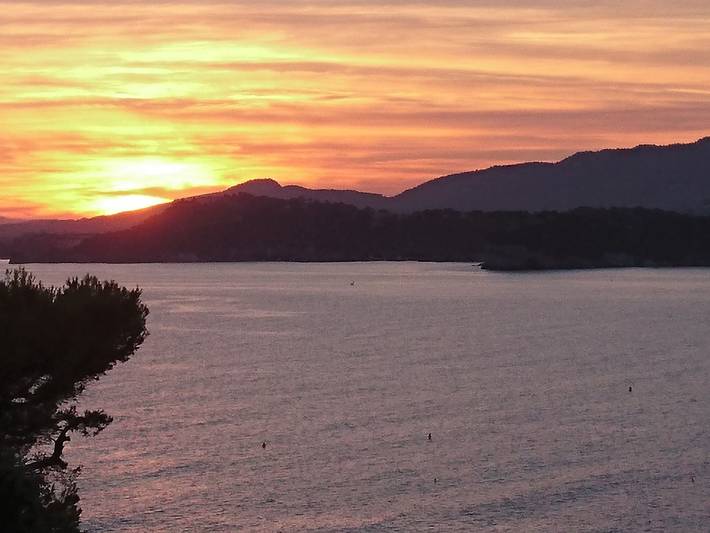 Le Provençal in Le Pradet, Côte méditerranéenne (France)