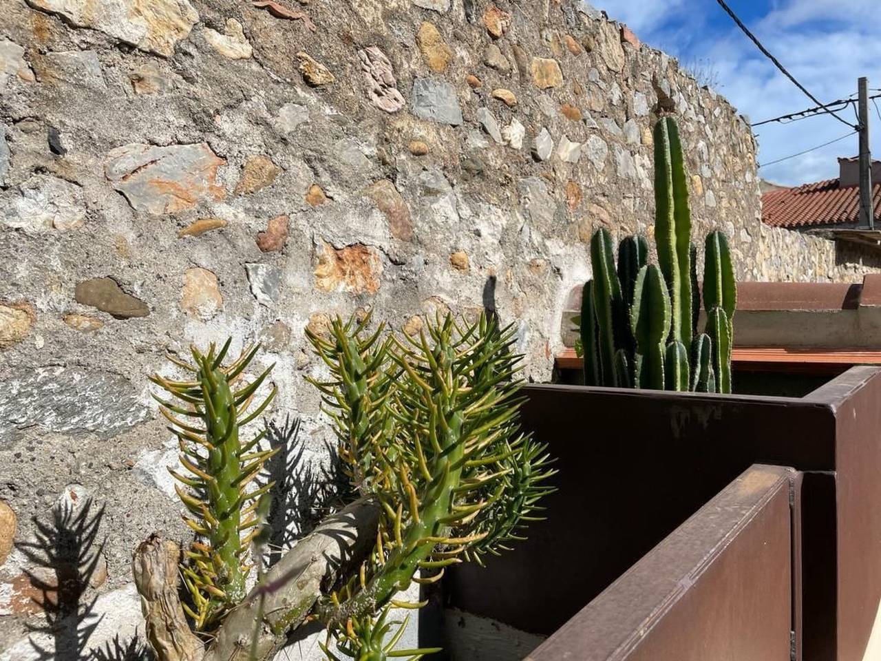 The Olive Retreat in Torreilles, Côte d'Améthyste