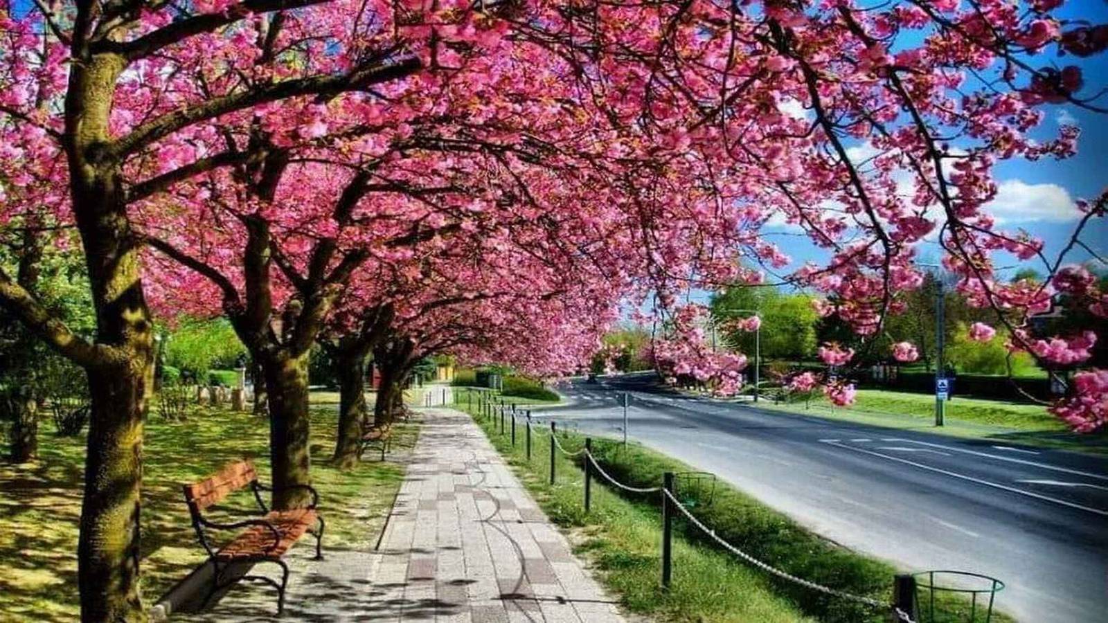 Ganze Ferienwohnung, Ferienwohnung 300 Meter vom Thermalbad entfernt, mit Whirlpool und Sauna in Zalakaros, Zalakarosi und Umgebung