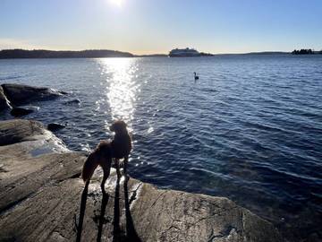 Hus för 6 Personer i Åkersberga, Österåker region, Bild 3