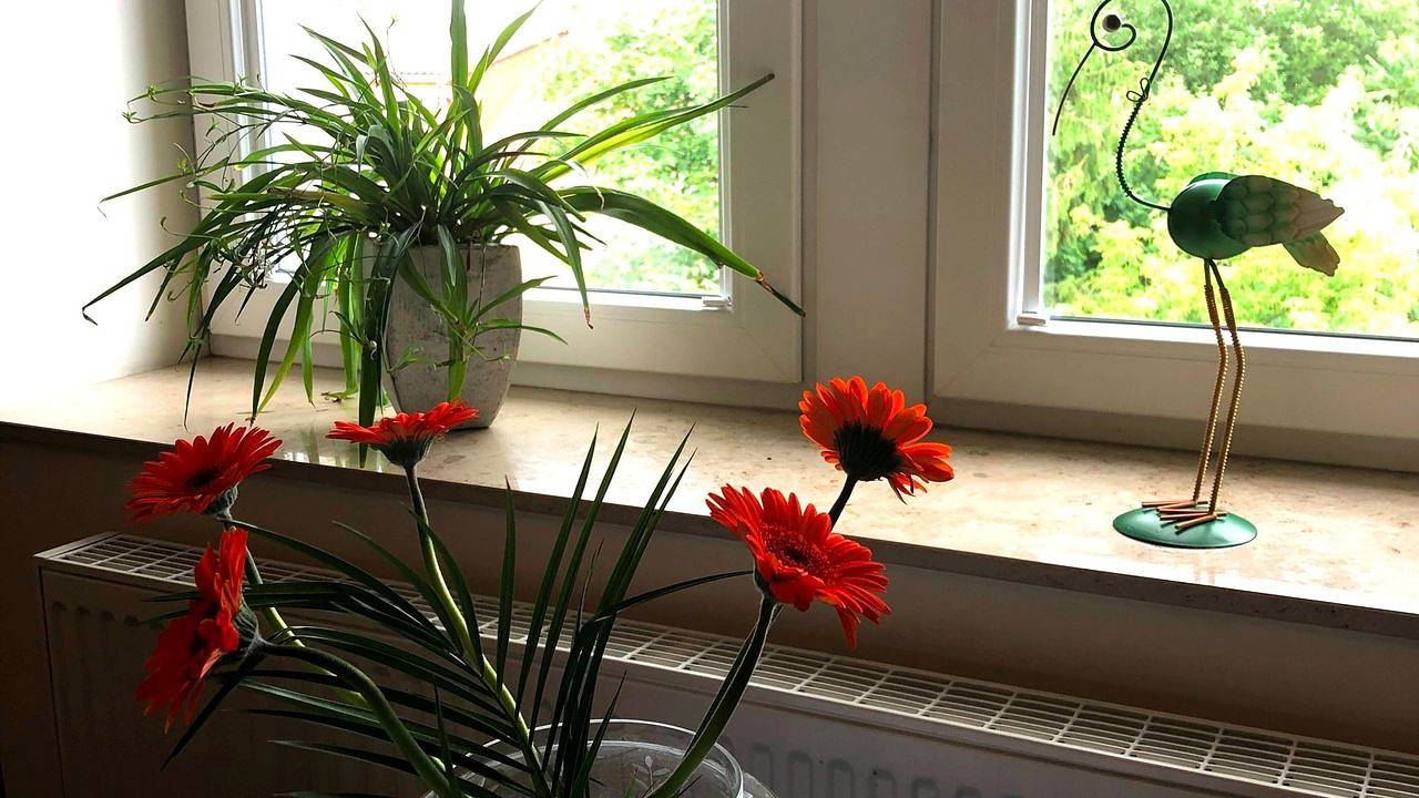 Ganze Ferienwohnung, Ferienwohnung für 3 Personen (52 m²) in Dresden in Laubegast, Dresden