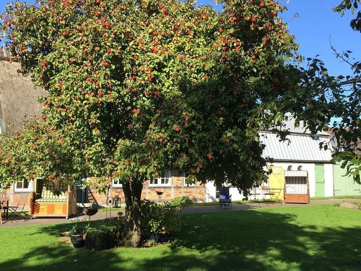 Ferienhaus für 2 Personen, mit Terrasse in Langballig - 4