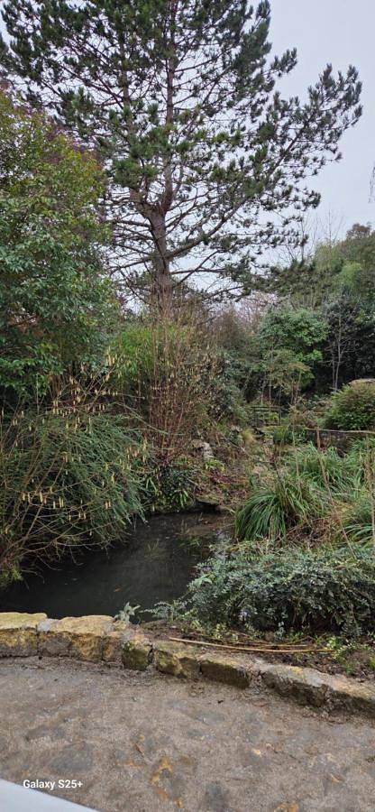 Gîte pour 6 personnes, avec vue sur le lac ainsi que jardin et vue à Oinville-sur-Montcient - 4