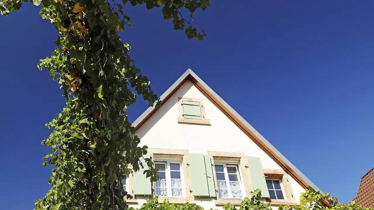 Ganzes Studio, Studio für 2 Personen (33 m²) in Rhodt unter Rietburg in Rhodt unter Rietburg, Südliche Weinstraße