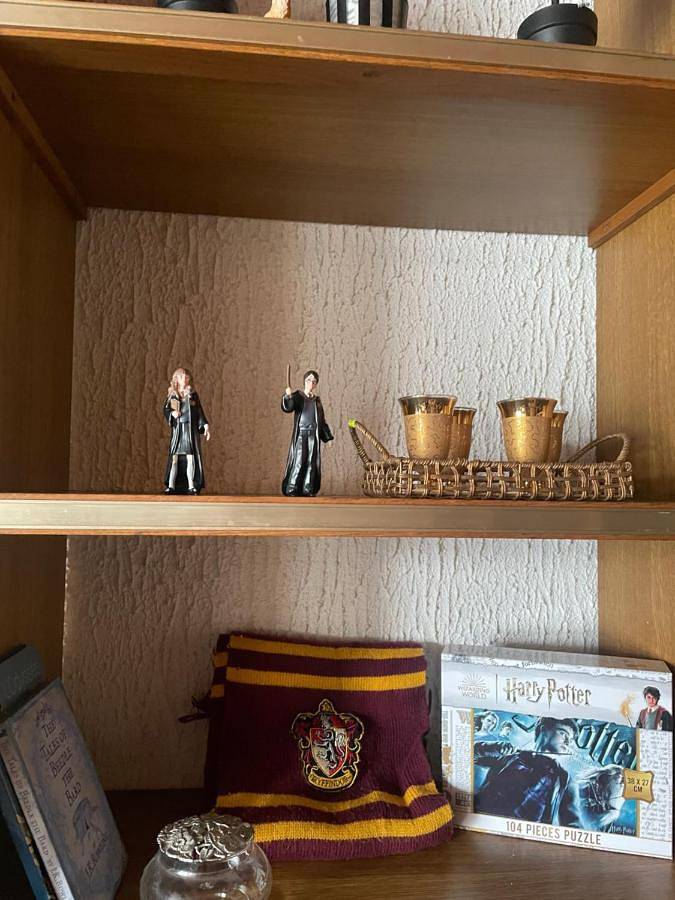 Gîte pour 5 personnes, avec jacuzzi et jardin à Hondschoote - 4