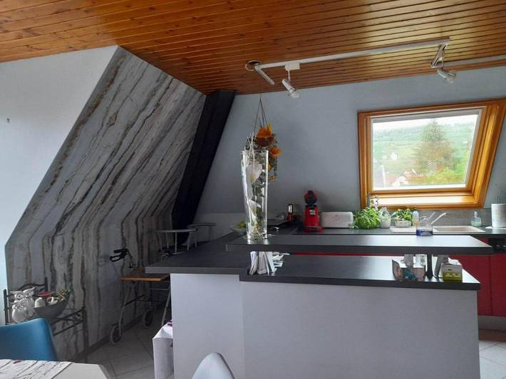Gîte pour 4 personnes, avec jardin et vue, animaux acceptés à Mutzig - 3