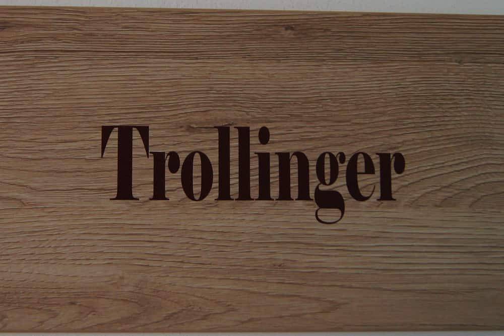 Einzelzimmer Trollinger - Winzerhof am Schlierbach in Obersulm, Kurpfalz