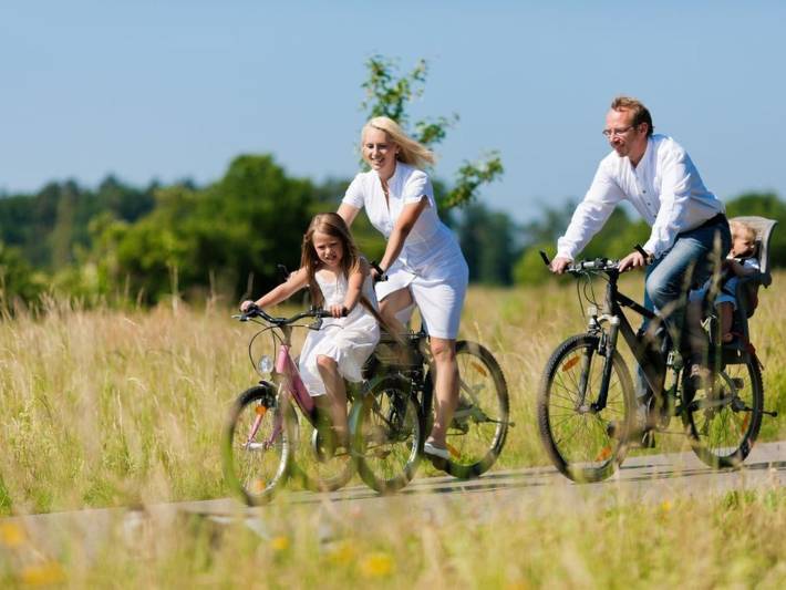 Ferienhaus für 4 Personen, mit Terrasse, mit Haustier in Vrouwenpolder - 4