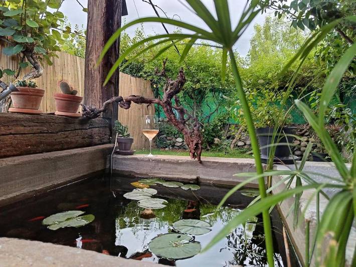 Location de vacances pour 14 personnes, avec vue et terrasse à Valence - 3