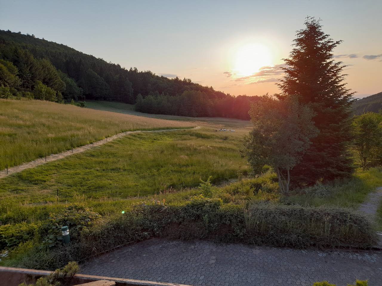 Ganze Wohnung, Ferienwohnung 'Schwarzwald Pur' mit Bergblick, Gemeinschaftsterrasse und Wi-Fi in Sasbachwalden, Mittlerer Schwarzwald