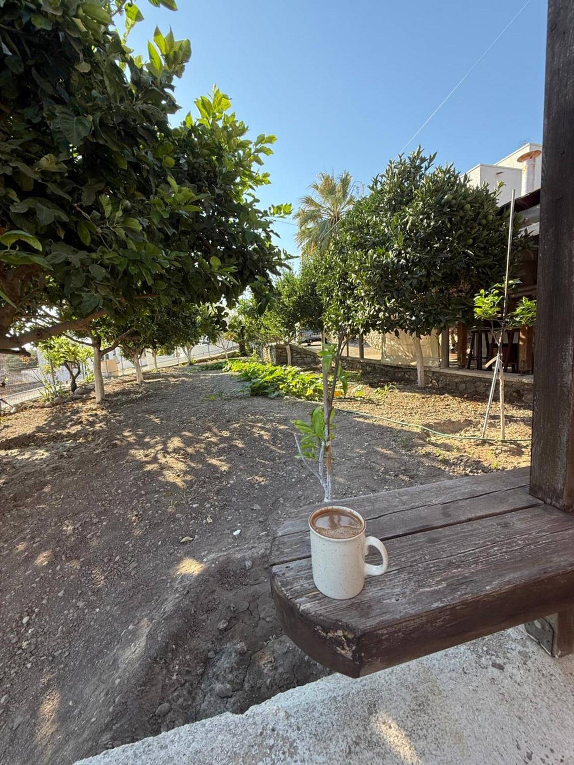 Entire apartment, Traditional Thea Home, Rhodes in Rhodes