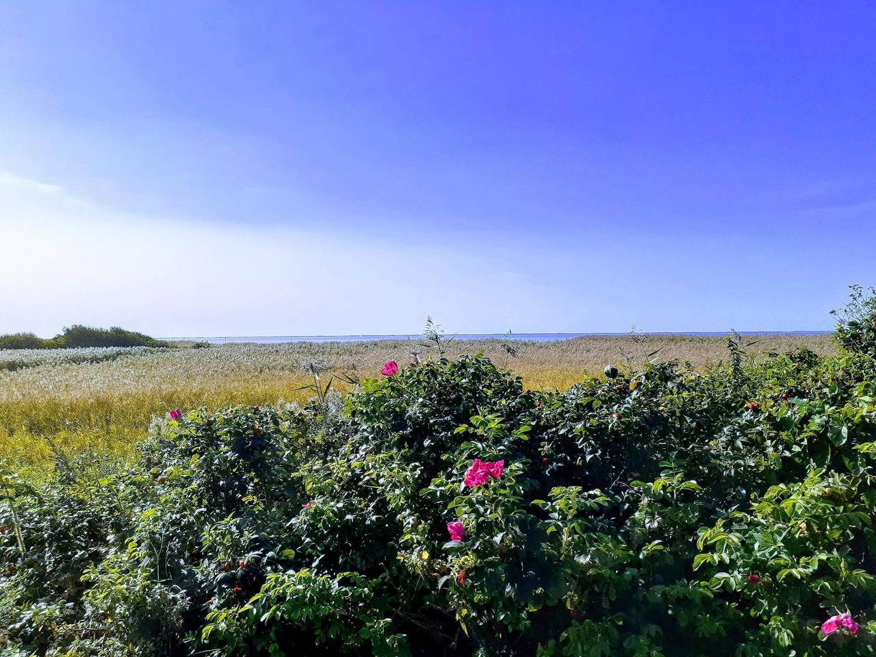 8 Personen Ferienhaus in Skjern in Stauning, Ringkøbing Fjord