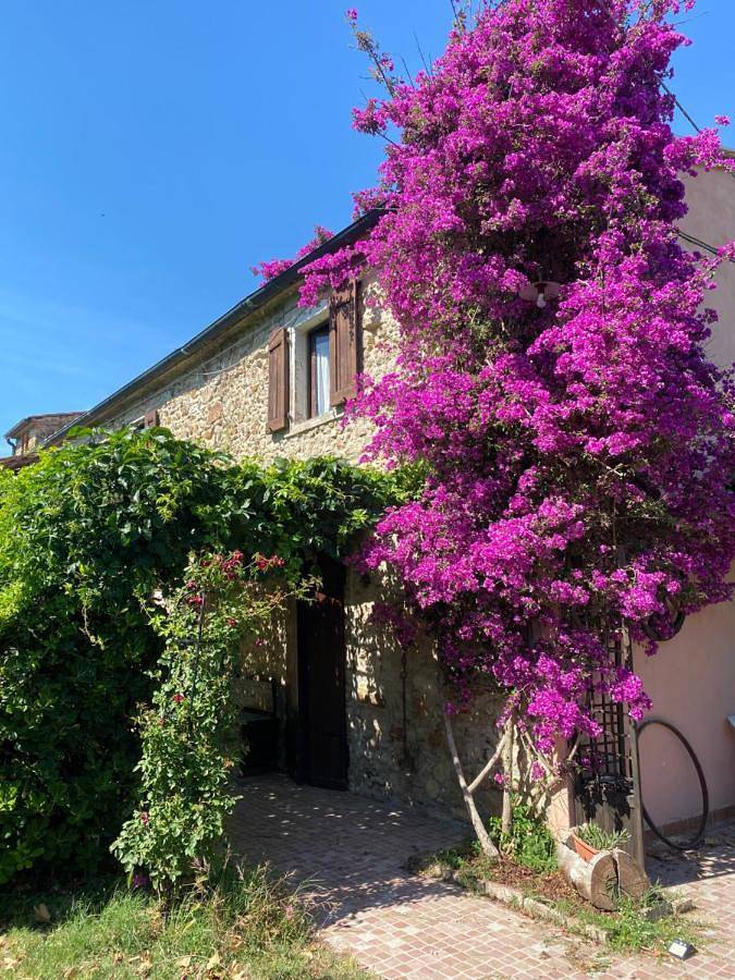 Agriturismo per 2 persone, con piscina e giardino a Piombino