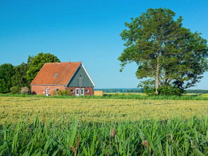 Ferienhaus für 6 Personen, mit Terrasse und Garten sowie Ausblick in Oederquart