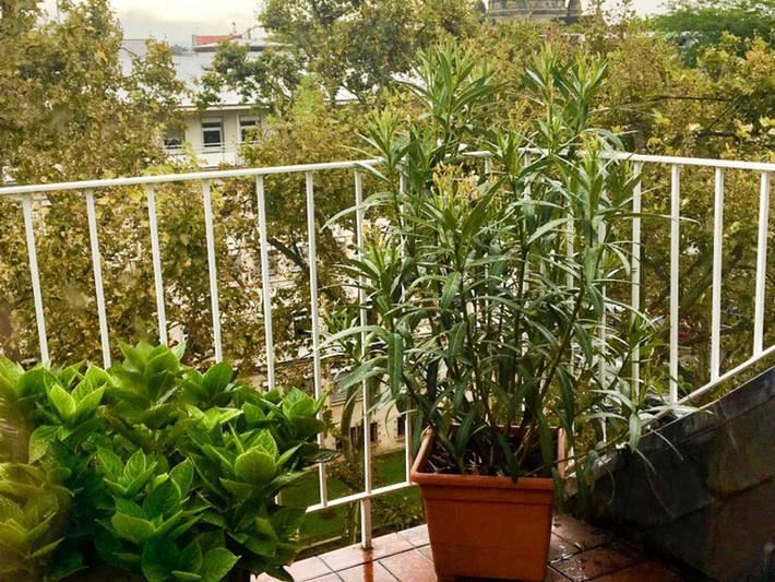 Ferienwohnung für 3 Personen, mit Balkon und Terrasse sowie Ausblick in Rheinhessen - 3