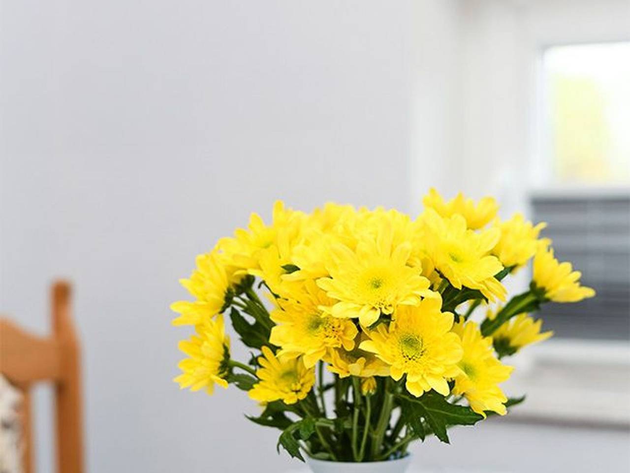 Ganze Ferienwohnung, Ferienwohnung Nordmoor in Neuschoo - Ferienwohnung Nordmoor in Neuschoo, Nordseeküste