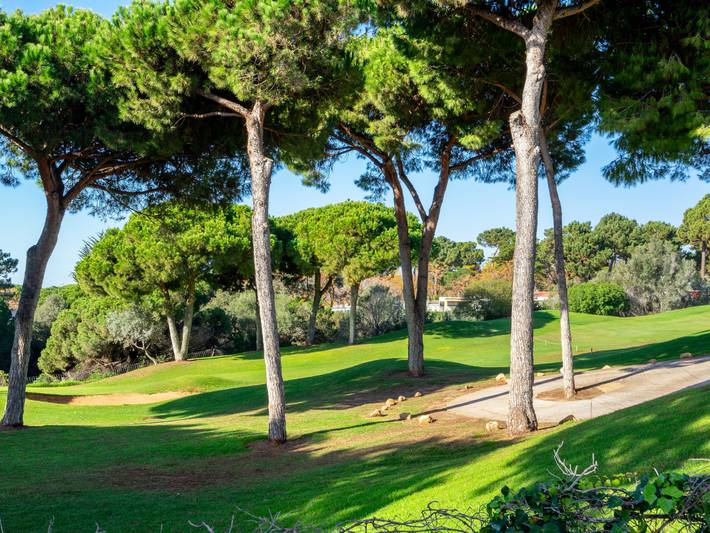 Las lomas de Cabopino in Playa de Calahonda, Marbella