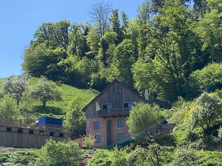 Gîte pour 14 personnes, avec Terrasse et Jacuzzi ainsi que Jardin et Piscine à Ribeauvillé