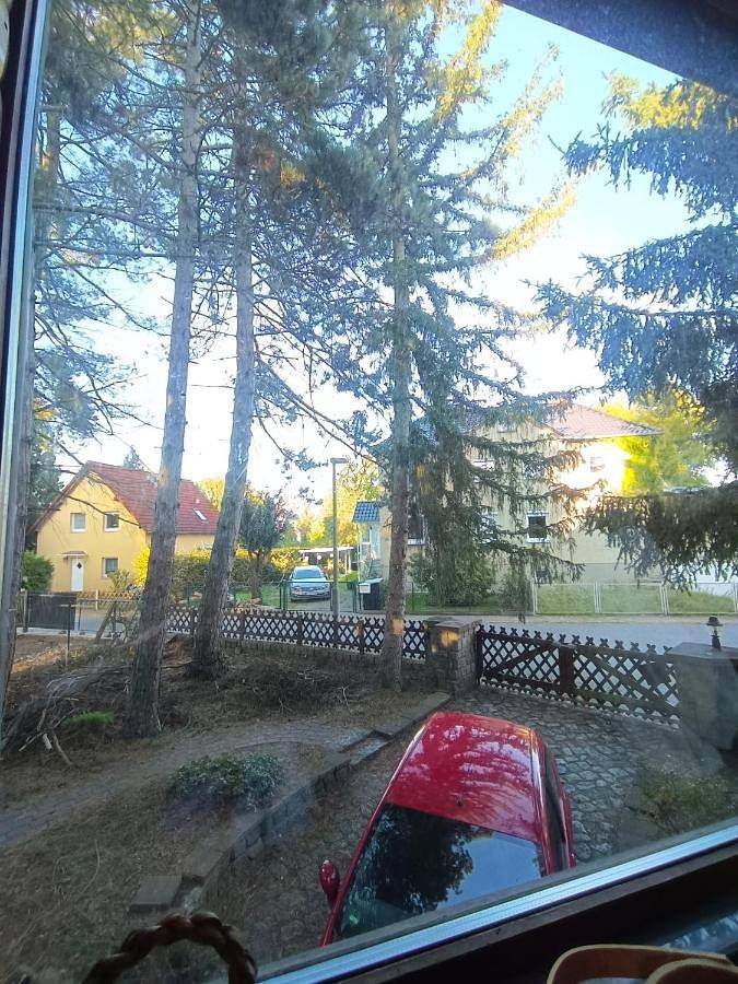 Maison d’hôte pour 3 personnes, avec vue et jardin, animaux acceptés à Berlin - 3