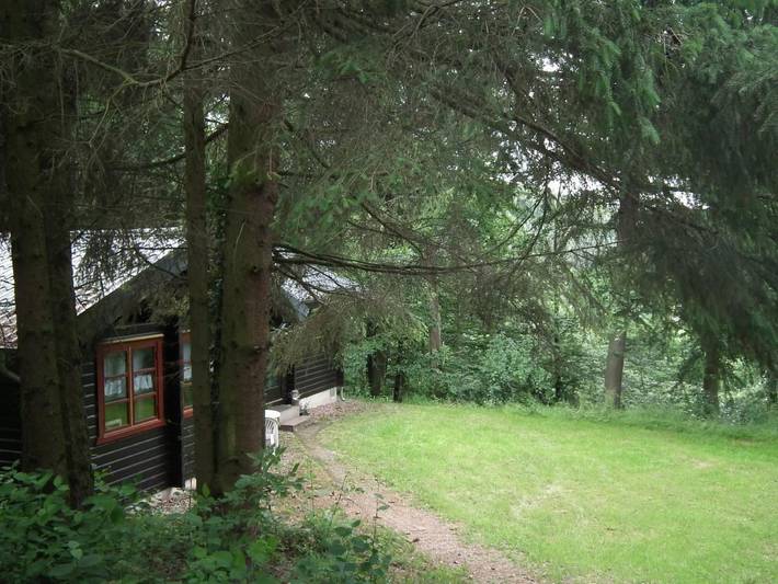 Ferienhaus für 6 Personen, mit Terrasse im Waldecker Land - 4