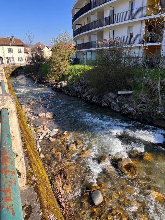 Appartement entier, One-Bedroom Apartment in Scionzier, Région de Bonneville