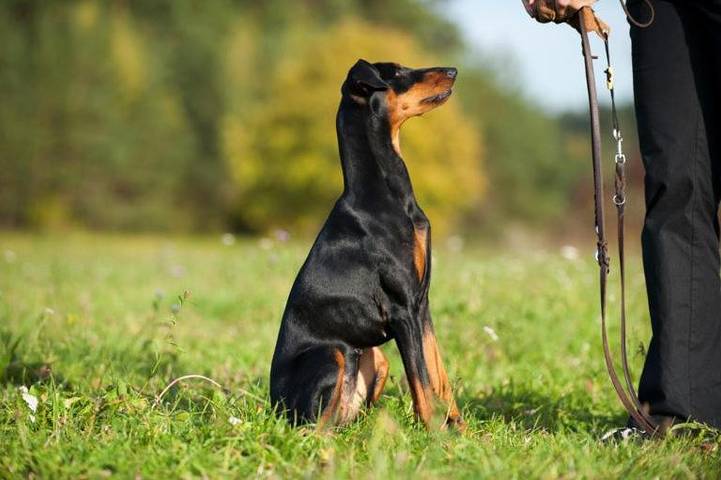 Location de vacances pour 2 personnes, avec vue et jardin à Vebret - 2