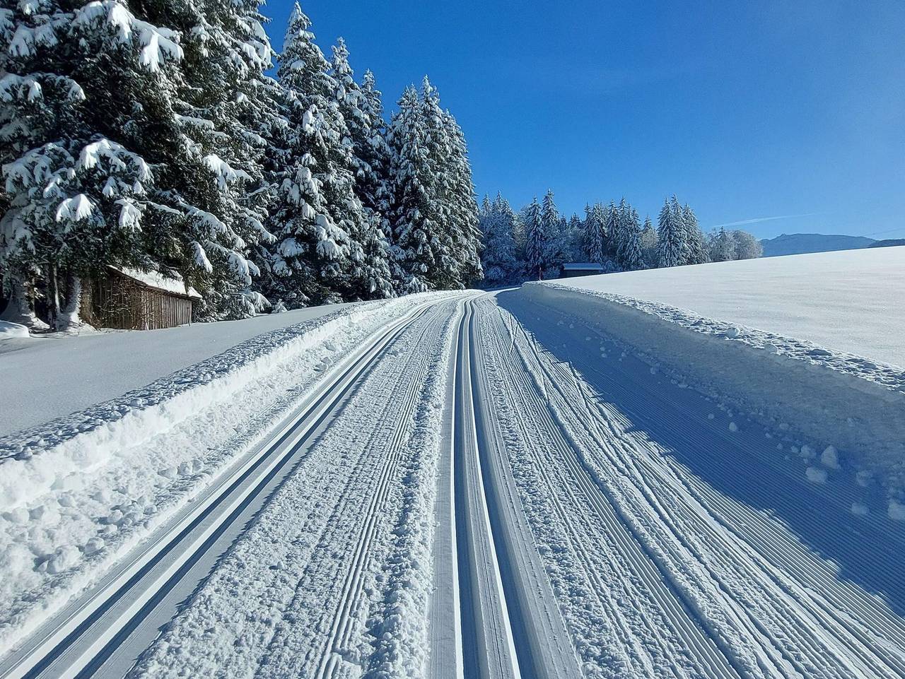Ganze Ferienwohnung, Kögel, Ferienhaus - Ferienwohnung Edelsberg, 2 Sz, Bad/Du/Wc in Nesselwang, Bayerisch Schwaben