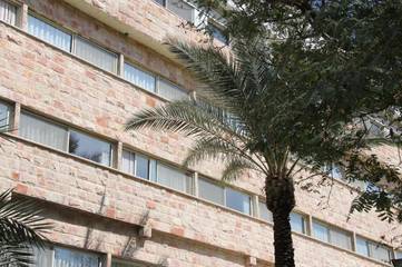 Hôtel pour 3 personnes, avec jardin et piscine à Tibériade