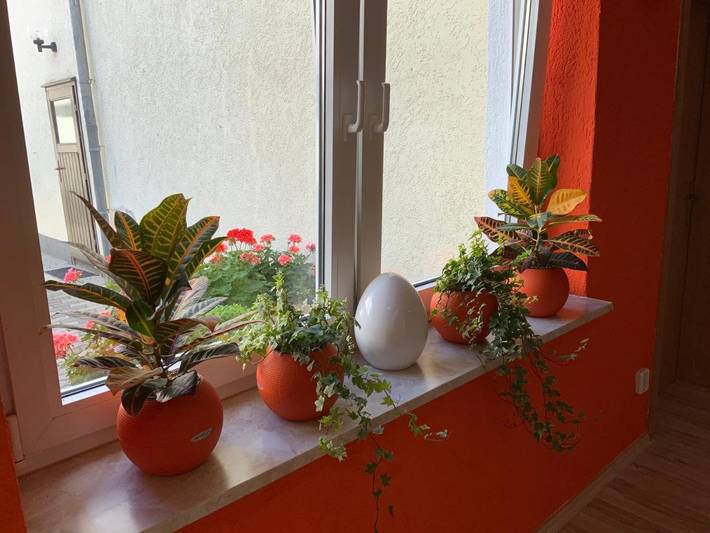 Ferienhaus für 5 Personen, mit Terrasse in Bernburg - 4