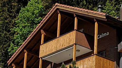 Hütte für 5 Personen in Adelboden, Berner Oberland, Bild 1