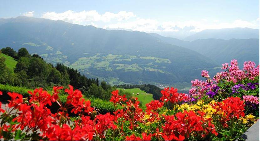 Geheel appartement, Stocknerhof in Gereuth - Caredo, Brixen