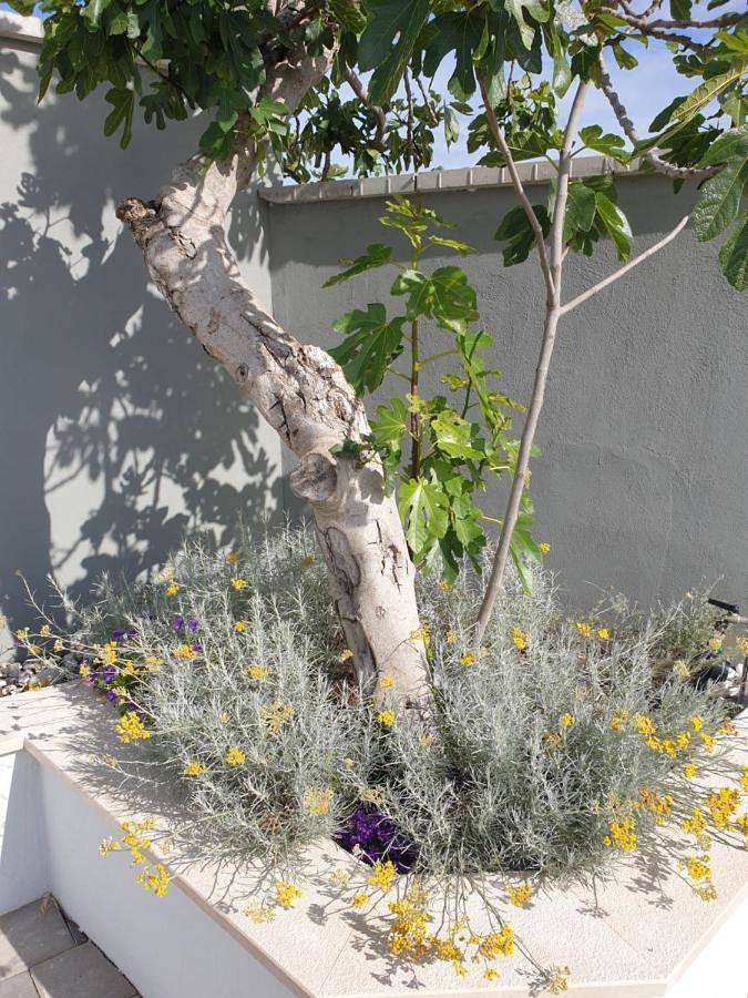 Villa pour 4 personnes, avec piscine ainsi que vue et jardin à Kavran - 2