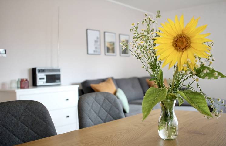 Ferienwohnung für 4 Personen, mit Terrasse