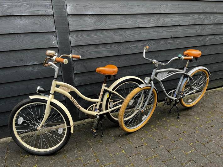 Gîte pour 2 personnes, avec vue ainsi que jardin et terrasse à Heerenveen - 2