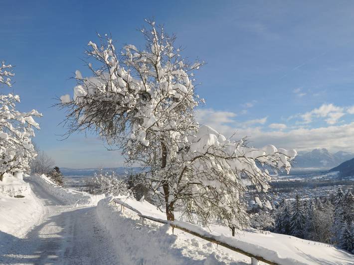 Bauernhaus für 4 Personen, mit Ausblick und Garten in Alpenland Tegernsee Schliersee - 3