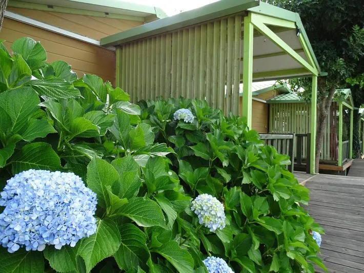 Camping for 4 people, with garden - 1