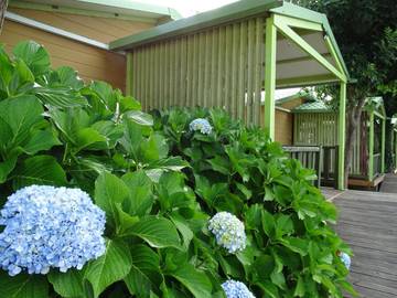 view of accommodation