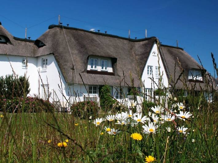 Ferienhaus für 2 Personen, mit Garten, mit Haustier - 1