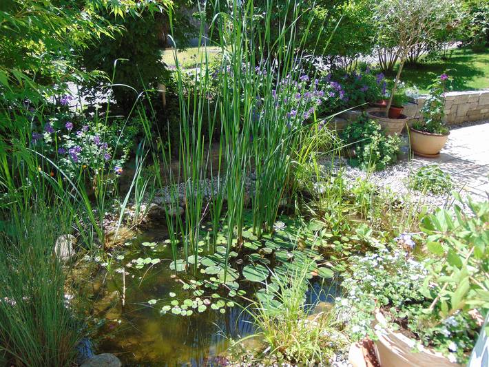 Ferienwohnung für 2 Personen, mit Seeblick und Garten sowie Balkon in Landkreis Rosenheim - 3