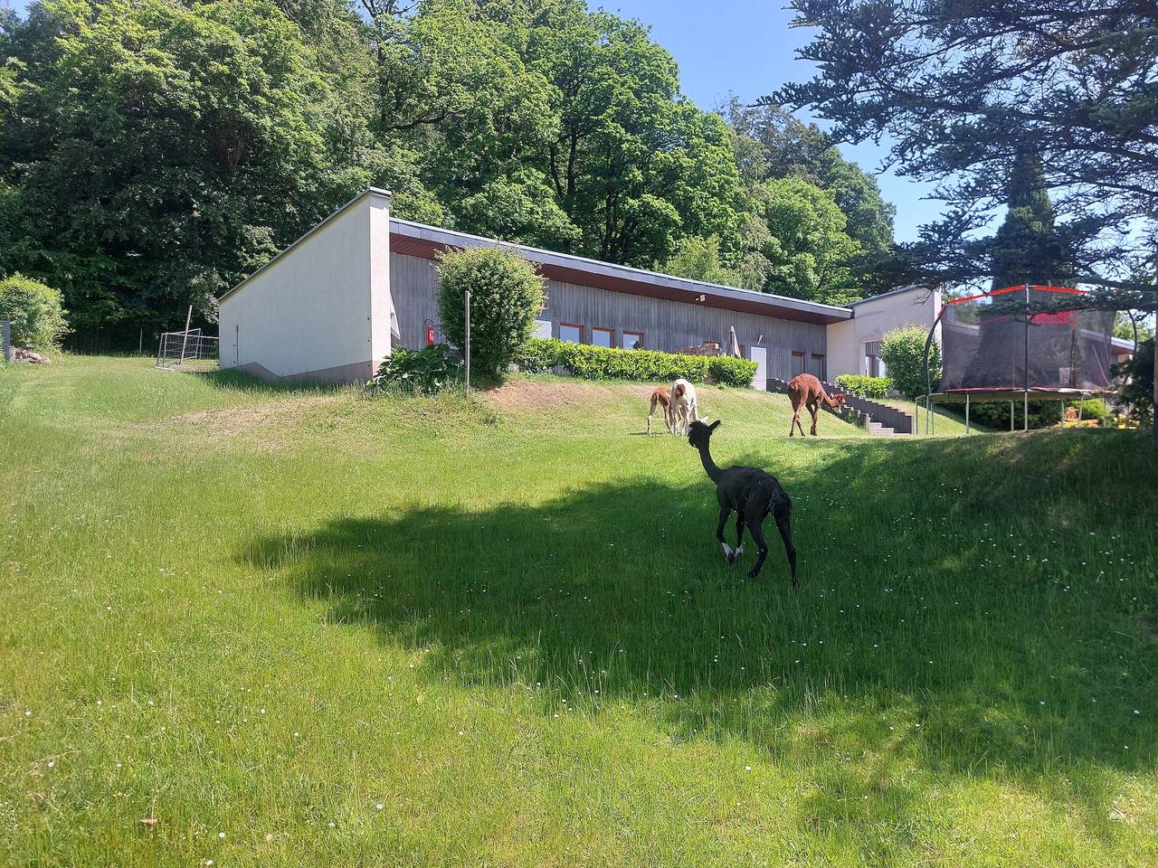 Ganze Wohnung, Apartment „Blick Ruhla“ mit Bergblick, privater Terrasse und Wlan in Wartburg, Ruhla