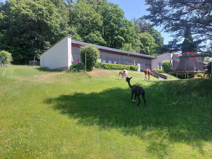 Ferienwohnung für 4 Personen, mit Garten und Sauna, mit Haustier in Wartburg - 2