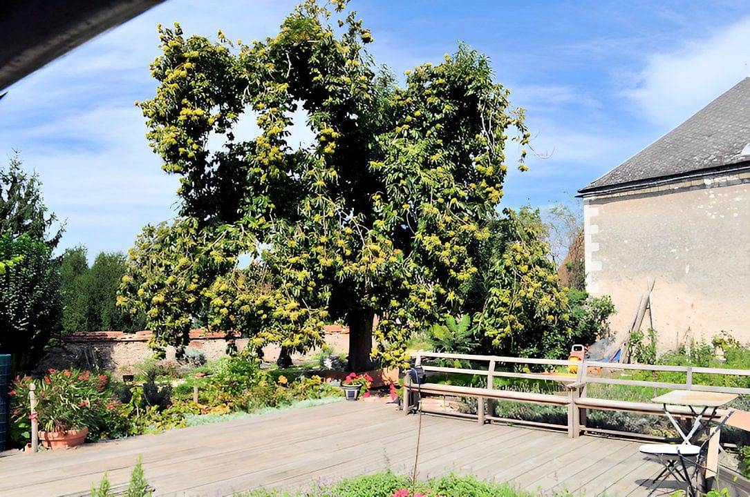 Le Cep en Sancerrois - Le Loft in Sancerre, Bourges region