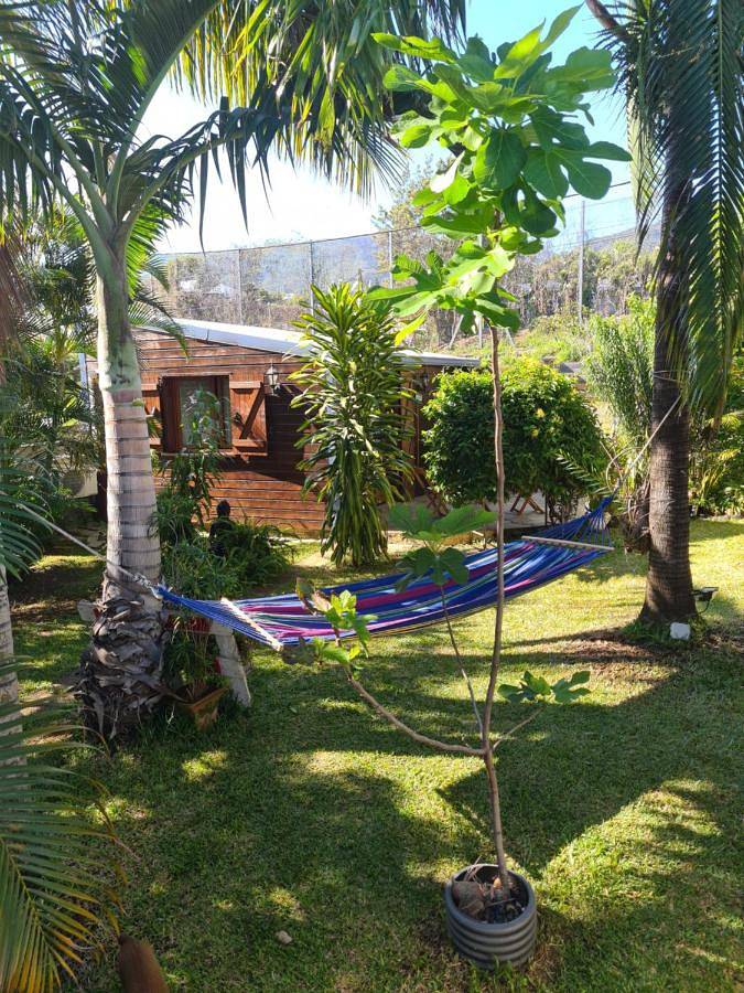 Location de vacances pour 2 personnes, avec piscine et jardin dans La Bretagne - 4